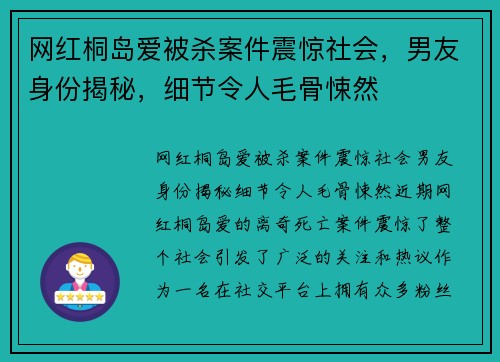 网红桐岛爱被杀案件震惊社会，男友身份揭秘，细节令人毛骨悚然